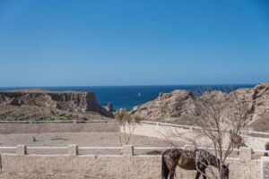 Santorini Paardrijden naar Zwarte Zandstrand